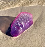 received_258900748199892